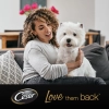 Cesar alutasak 4 pack válogatás mártásban Multipack 4x100g