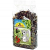 JR Farm csincsilla álom 75g