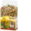 JR Farm Egér Adult 500g