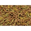 JR Farm Gabonamentes Health Complete Tengerimalacoknak 600g