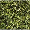 JR Farm Zöld zabfű 100g