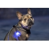 KERBL Maxi Safe LED nyakörvre