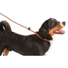 KERBL Maxi Safe retriever póráz, narancs