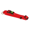 KERBL Miami nyakörv, piros, 20-35cm, 10mm