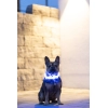 KERBL Maxi Safe LED nyakörv, kék