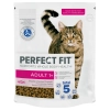 PERFECT FIT száraz Adult Lazac 750gr