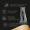Sheba Alutasak 4 Pack Cuisine Húsos Multipack