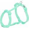 Trixie Hám-H Prémium XS–S 30–44 cm/10mm Menta