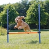 Trixie Játék Dog Activity Agility Magas Ugróléc 123*115*3cm Kék/Narancs
