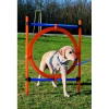 Trixie Játék Dog Activity Agility Magas Ugróléc+Karika 115*3cm 65cm Kék/Narancs