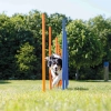 Trixie Játék Dog Activity Agility Szlalom 12db 115x3cm Kék/Narancs