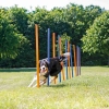 Trixie Játék Dog Activity Agility Szlalom 12db 115x3cm Kék/Narancs