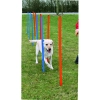 Trixie Játék Dog Activity Agility Szlalom 12db 115x3cm Kék/Narancs