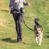 Trixie Póráz Derékra Rögzíthető 40kg-ig, fekete
