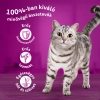 Whiskas alutasak 4-pack szárnyas válogatás mártásban 4*85gr Multipack