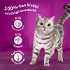 -WHISKAS alutasak 80-pack klasszikus válogatás mártásban 80*85g