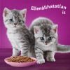 Whiskas alutasak 4-pack húsos mártásban JUNIOR 4x85g Multipack