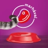 Whiskas száraz macskaeledel marhával 1,4kg