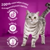 Whiskas száraz macskaeledel marhával 1,4kg