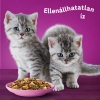 Whiskas Junior macskaeledel csirkével 300g