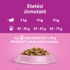 Whiskas Száraz Lazac 1,4kg