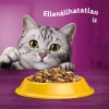Whiskas Sterilie száraz macskaeledel csirkével 14kg