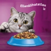 Whiskas száraz macskaeledel tonhallal 14kg