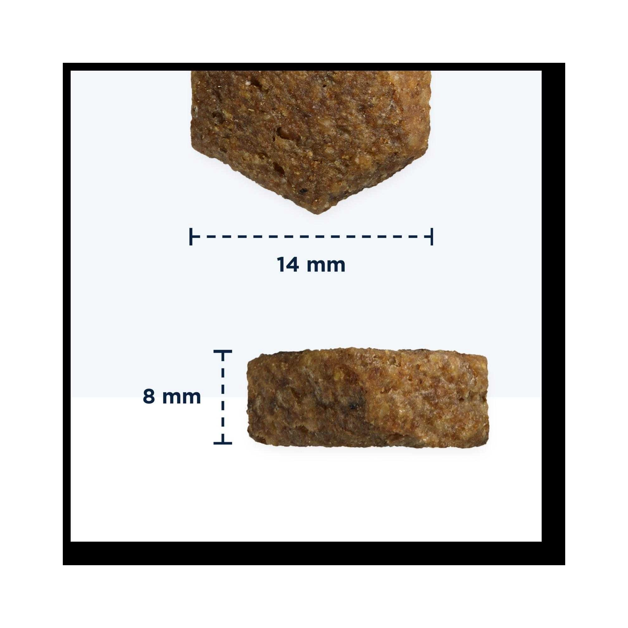 -Eukanuba Adult Dog Mono Protein Lazac 12kg