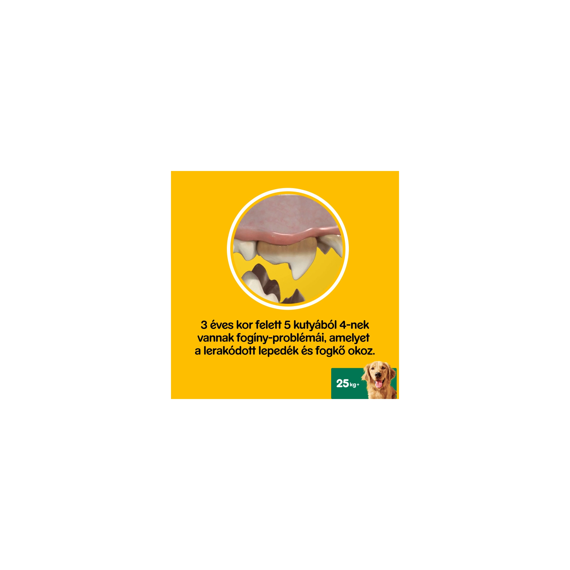 Pedigree Denta Fresh 7db Large 270g