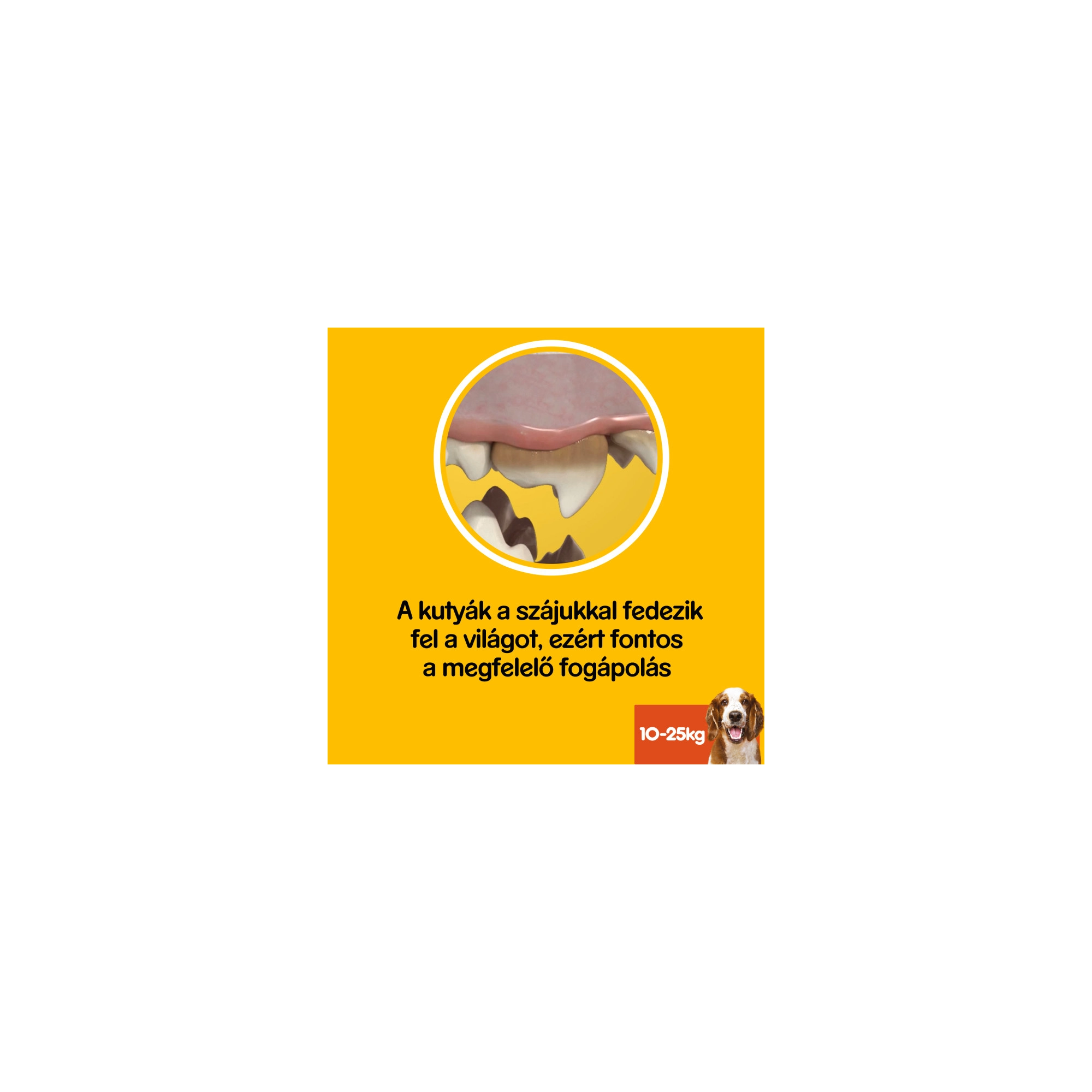 Pedigree Denta Stix 3db Med/Large 77g