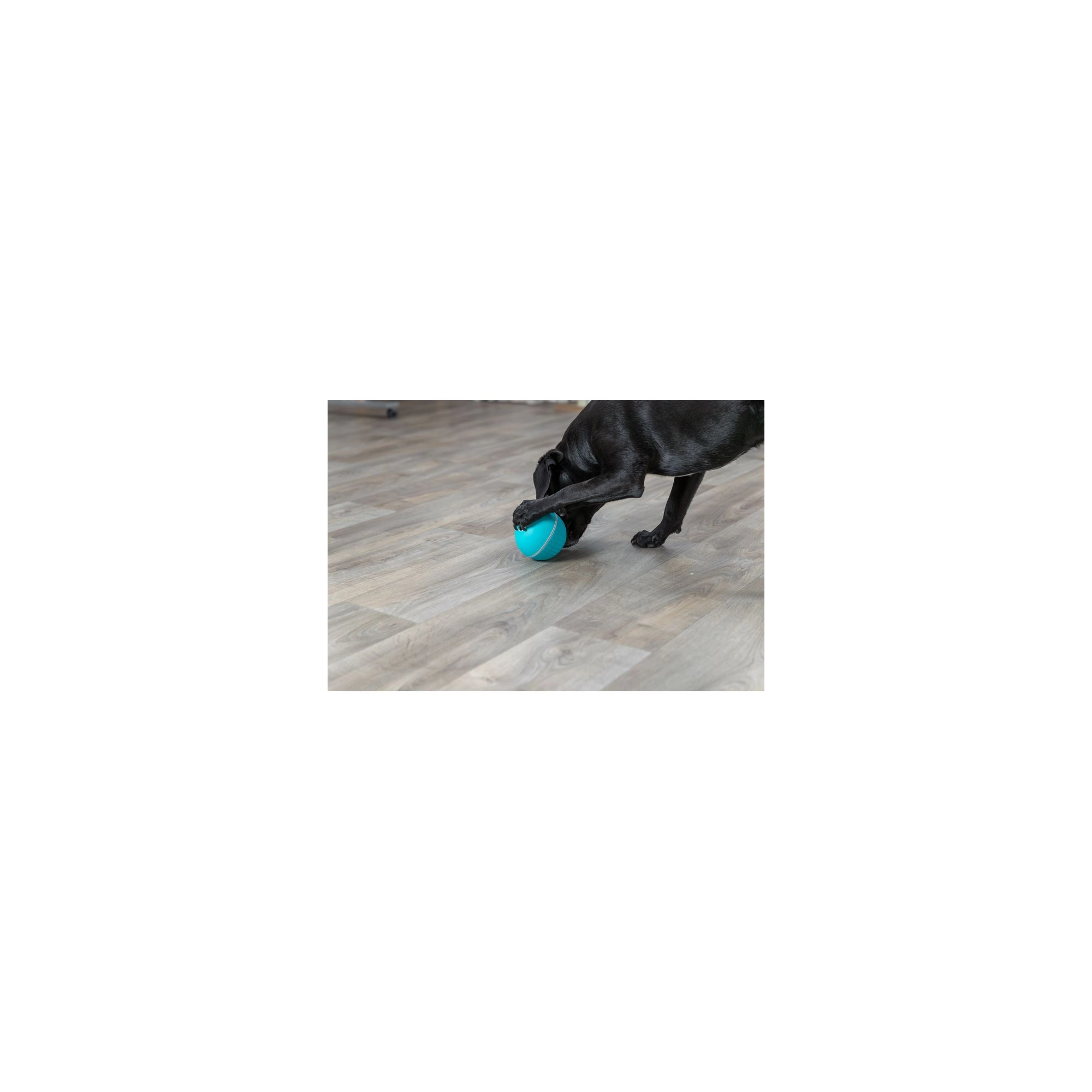 Trixie Játék snack labda műanyag 14cm kék