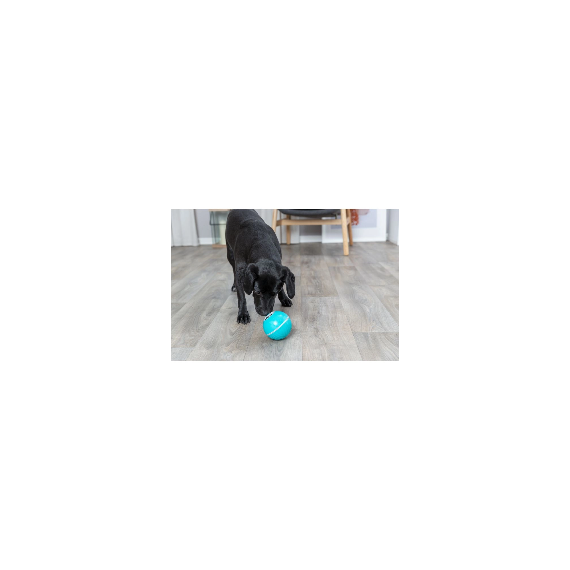 Trixie Játék snack labda műanyag 14cm kék