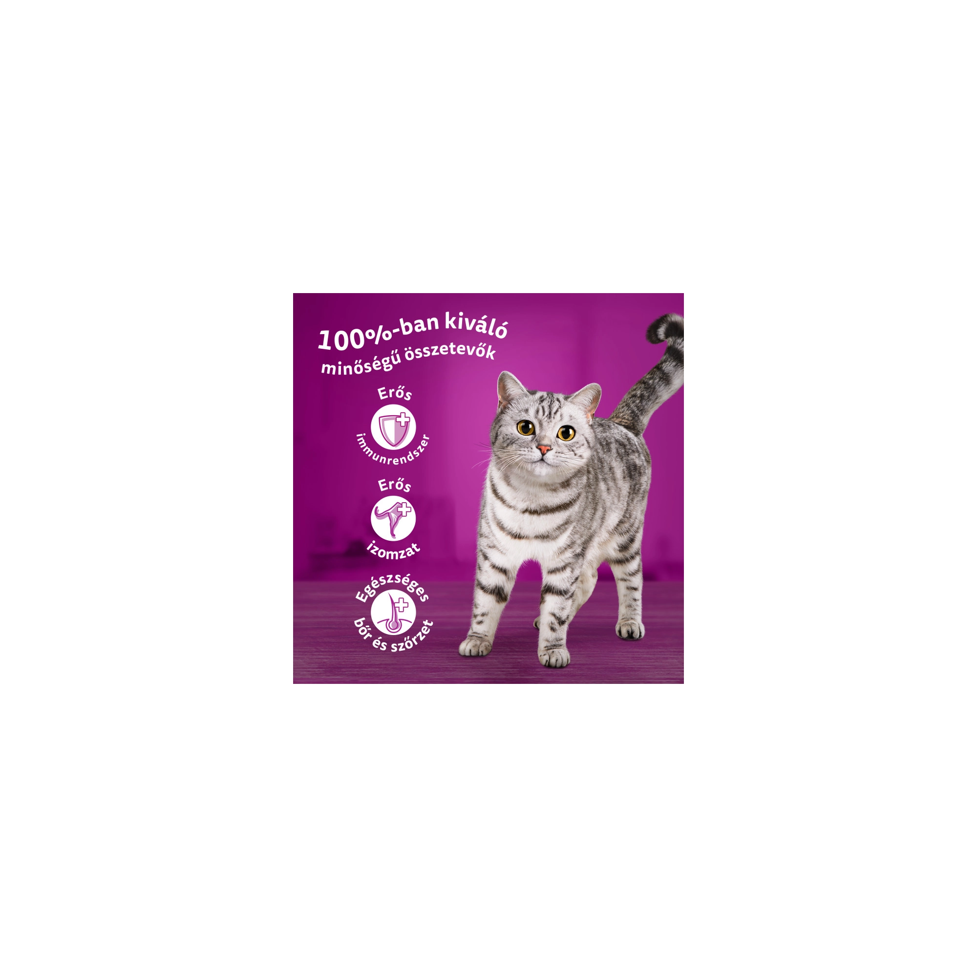 Whiskas alutasak csirke aszpikpan 85gr