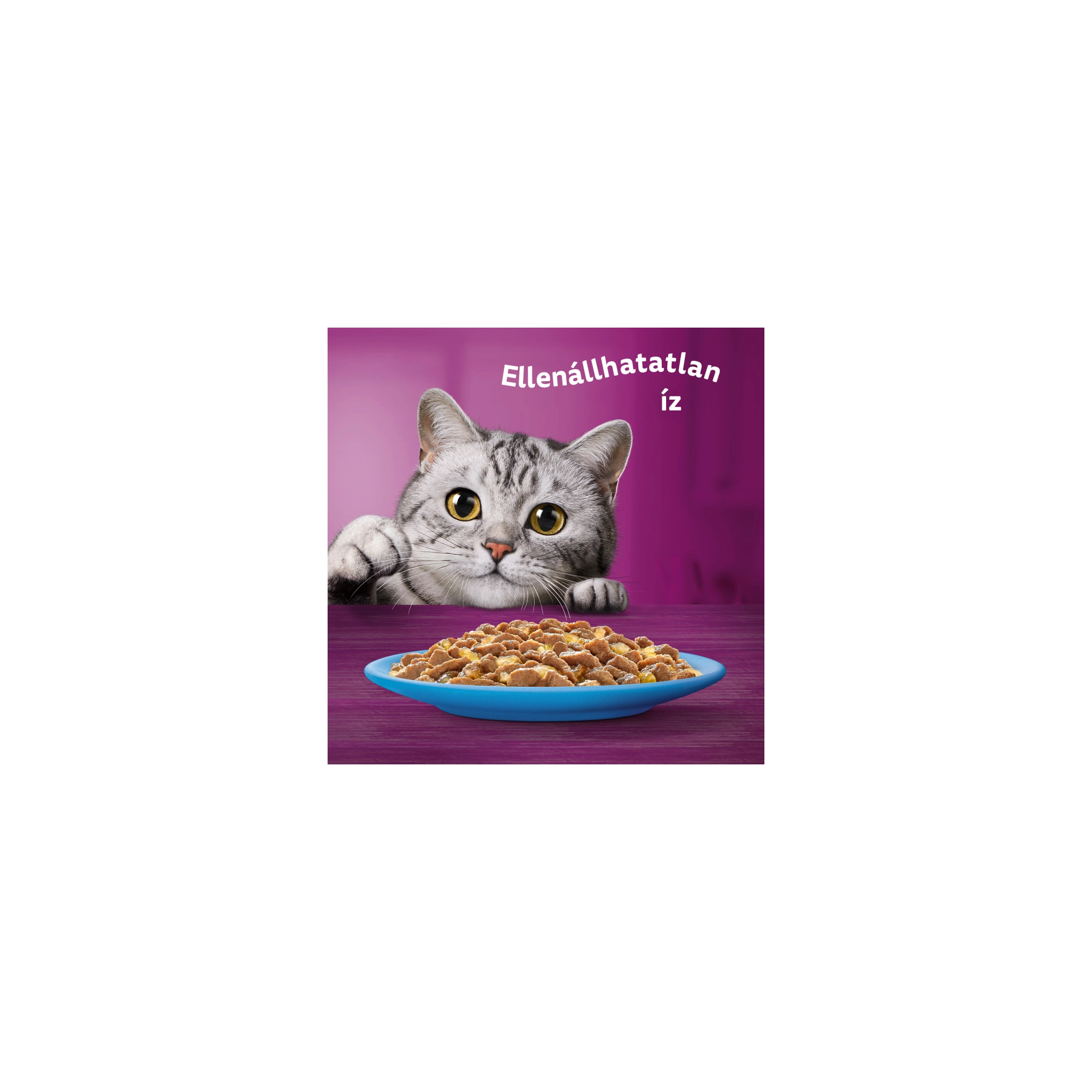 Whiskas alutasak 4-pack halas aszpikban  4x85g Multipack