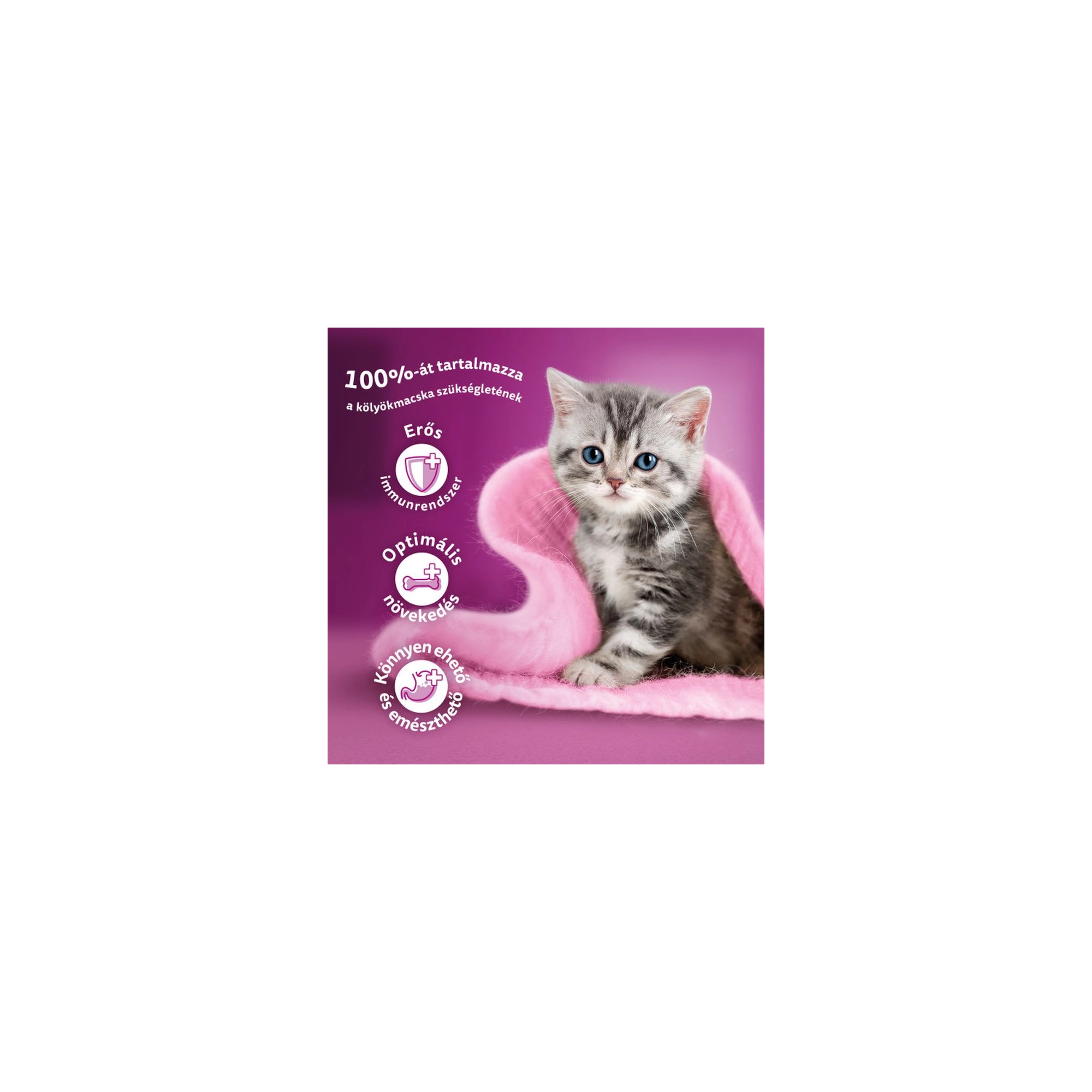 Whiskas Alutasakos Junior Krémes Klasszikus Válogatás 12x85g Multipack