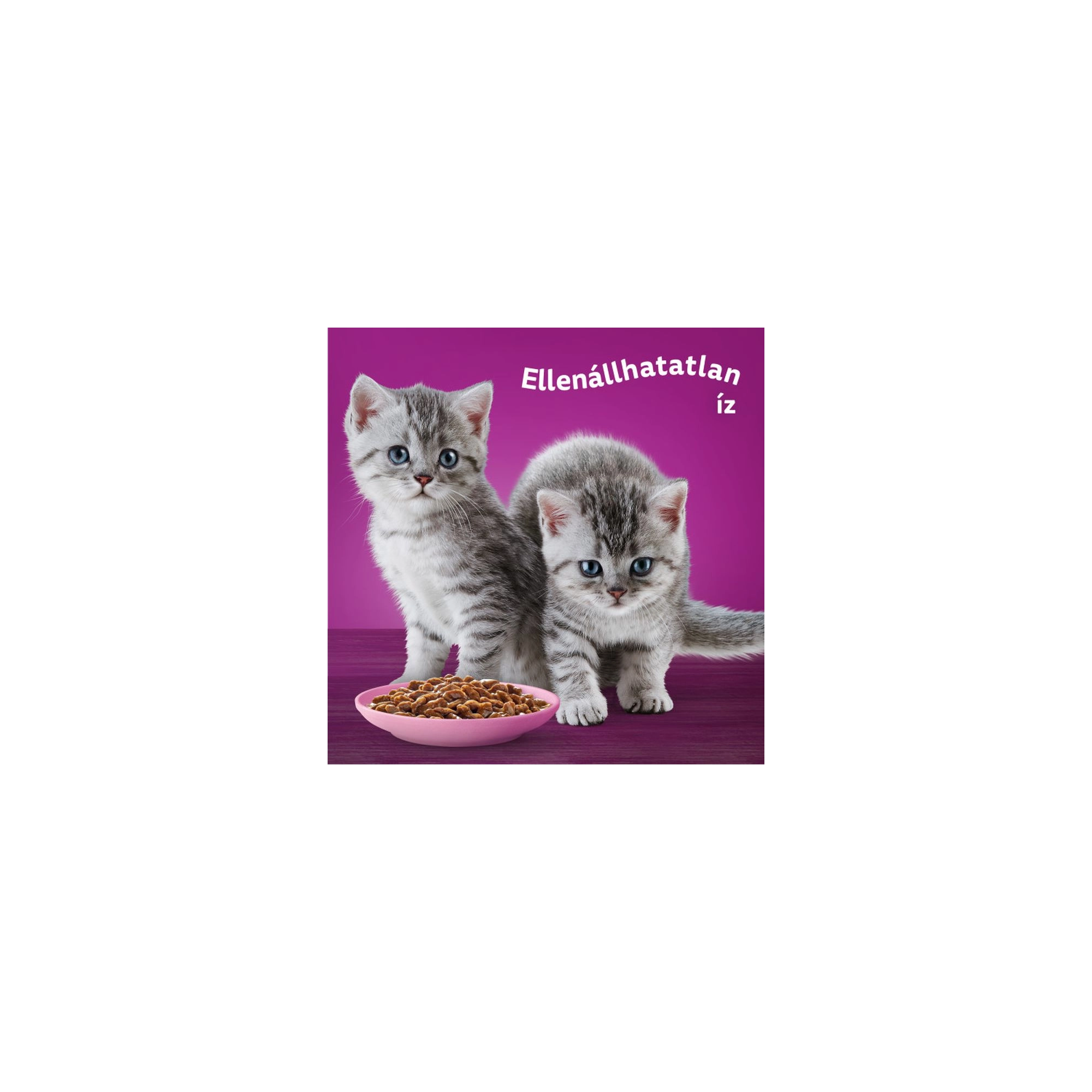 Whiskas Alutasakos Junior Krémes Klasszikus Válogatás 12x85g Multipack