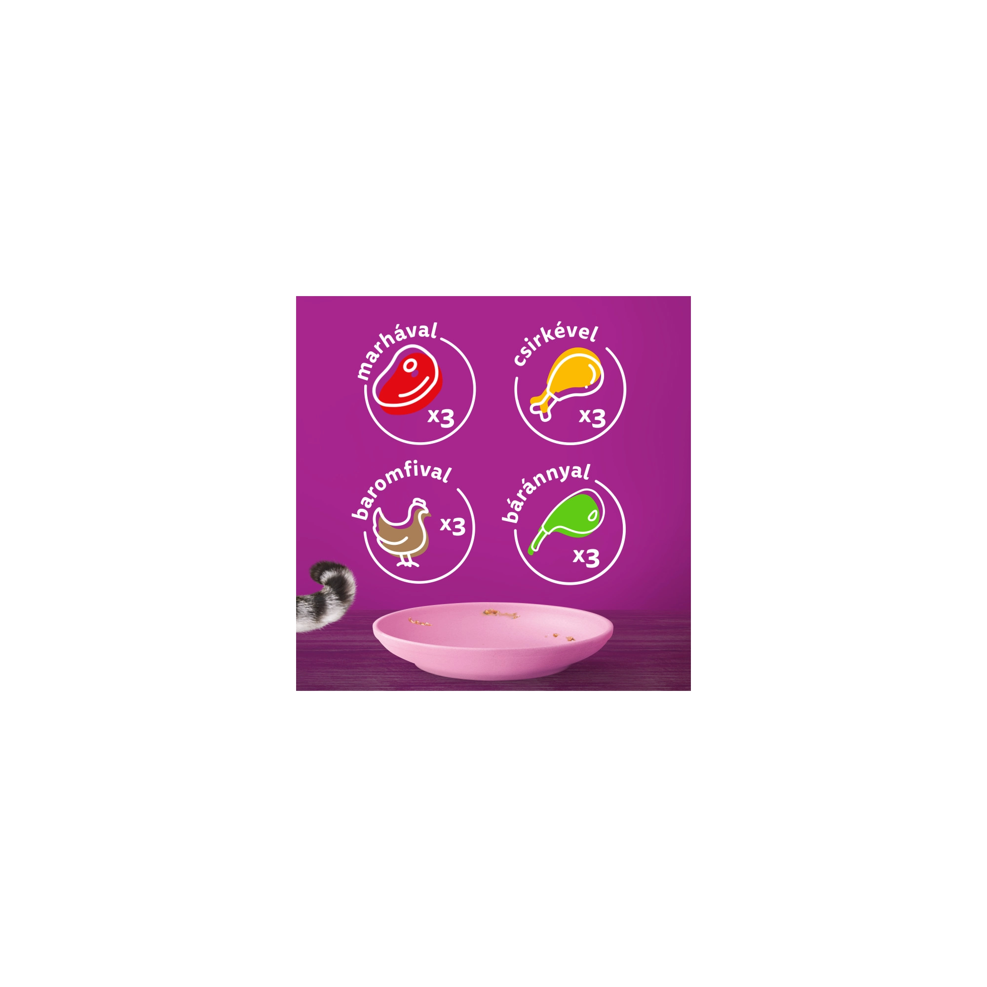 Whiskas Alutasakos Junior Krémes Klasszikus Válogatás 12x85g Multipack
