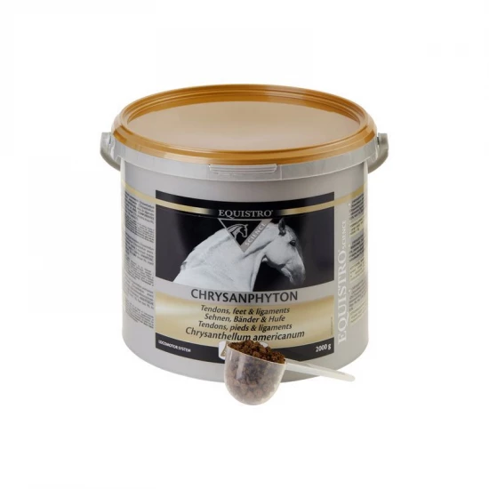 Equistro Chrysanphyton grl 2kg