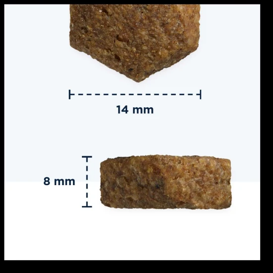 -Eukanuba Adult Dog Mono Protein Lazac 12kg