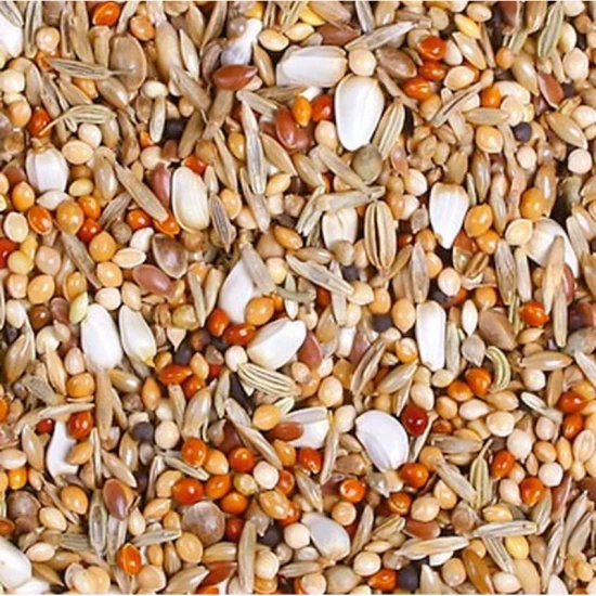 JR Farm Classic Nagypapagáj 1kg