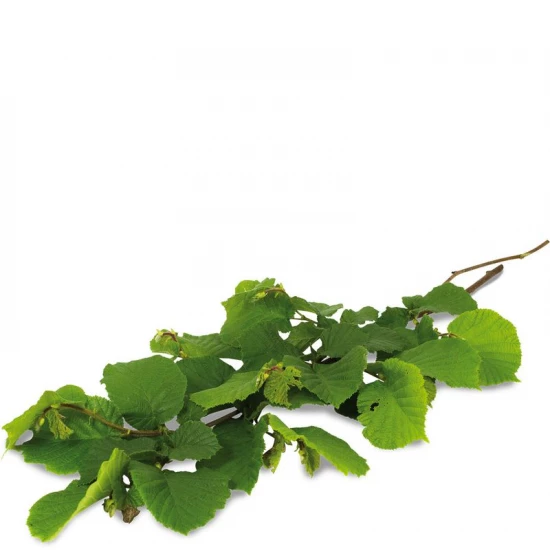 JR Farm ESN Mogyoró szüret 40g