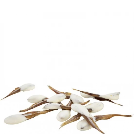 JR Farm Hal falatok tejbe mártva macskáknak 30g