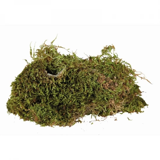 Trixie Terráriumba moha 200g